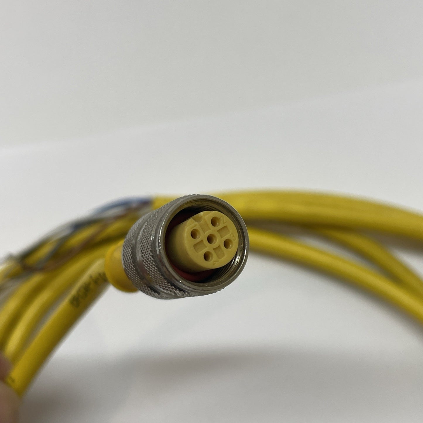 Banner 51127 MQDC1-506 Single-Ended M12 5-Pin Straight Female Cordset 2 m (78")