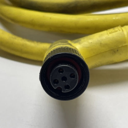 Brad Harrison 884031K03M020 4-Pole Double-Ended Cordset 18 AWG 2m TPE