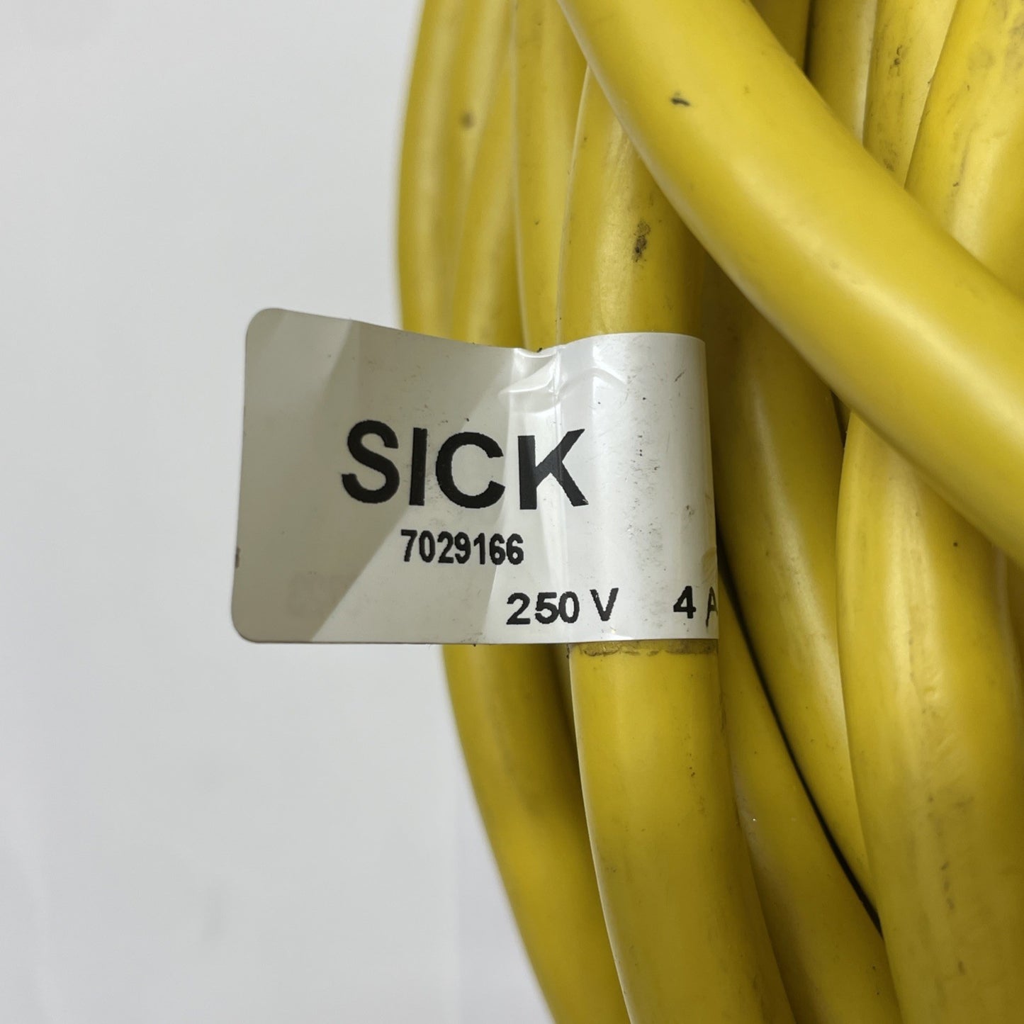 SICK 7029166 / 12 POM23-S/S-30  12-Pin M23 Overmold Cable 30 m