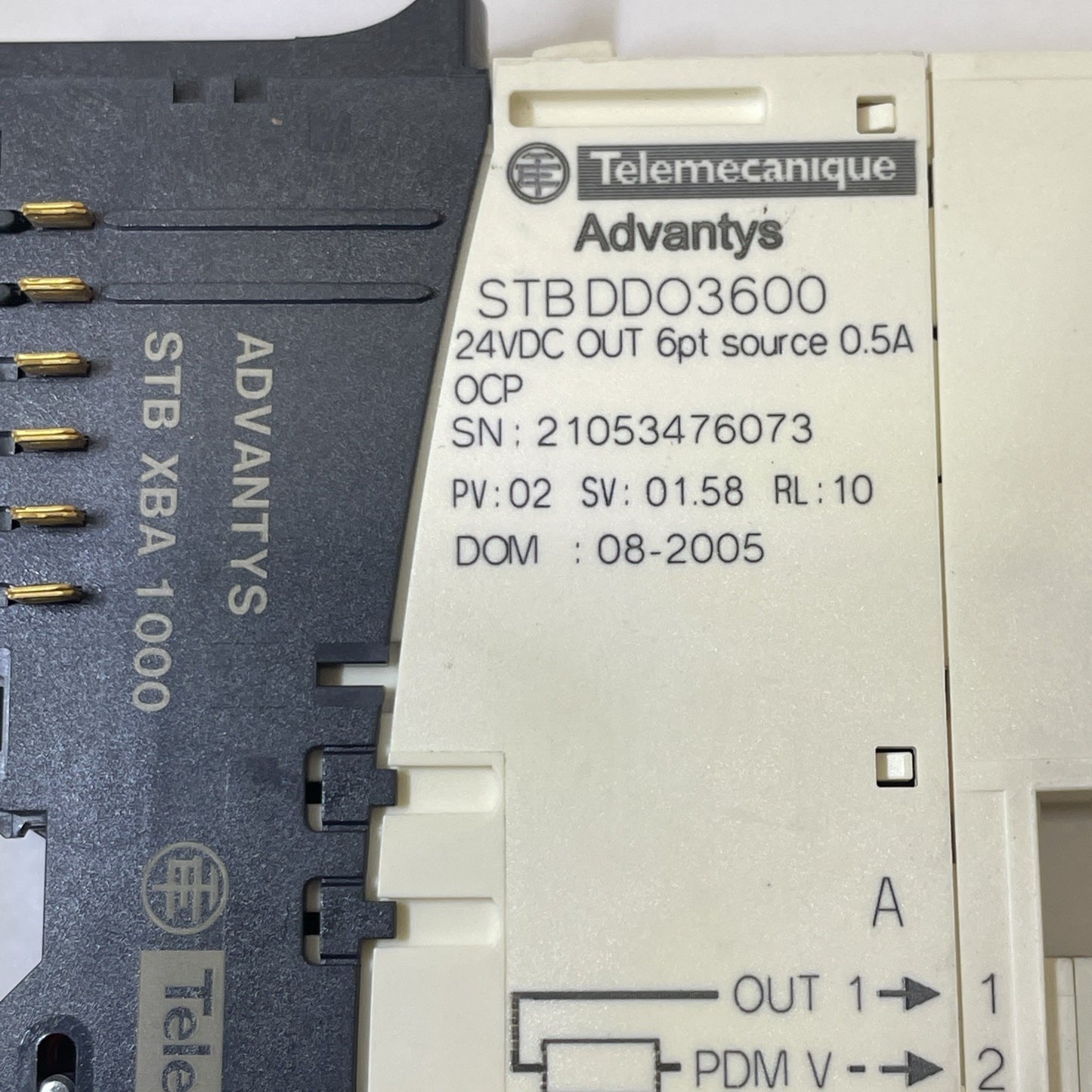 Schneider STBDDO3600 Digital Output Module 24VDC 6Pt Source w/ STB XBA 1000 BASE
