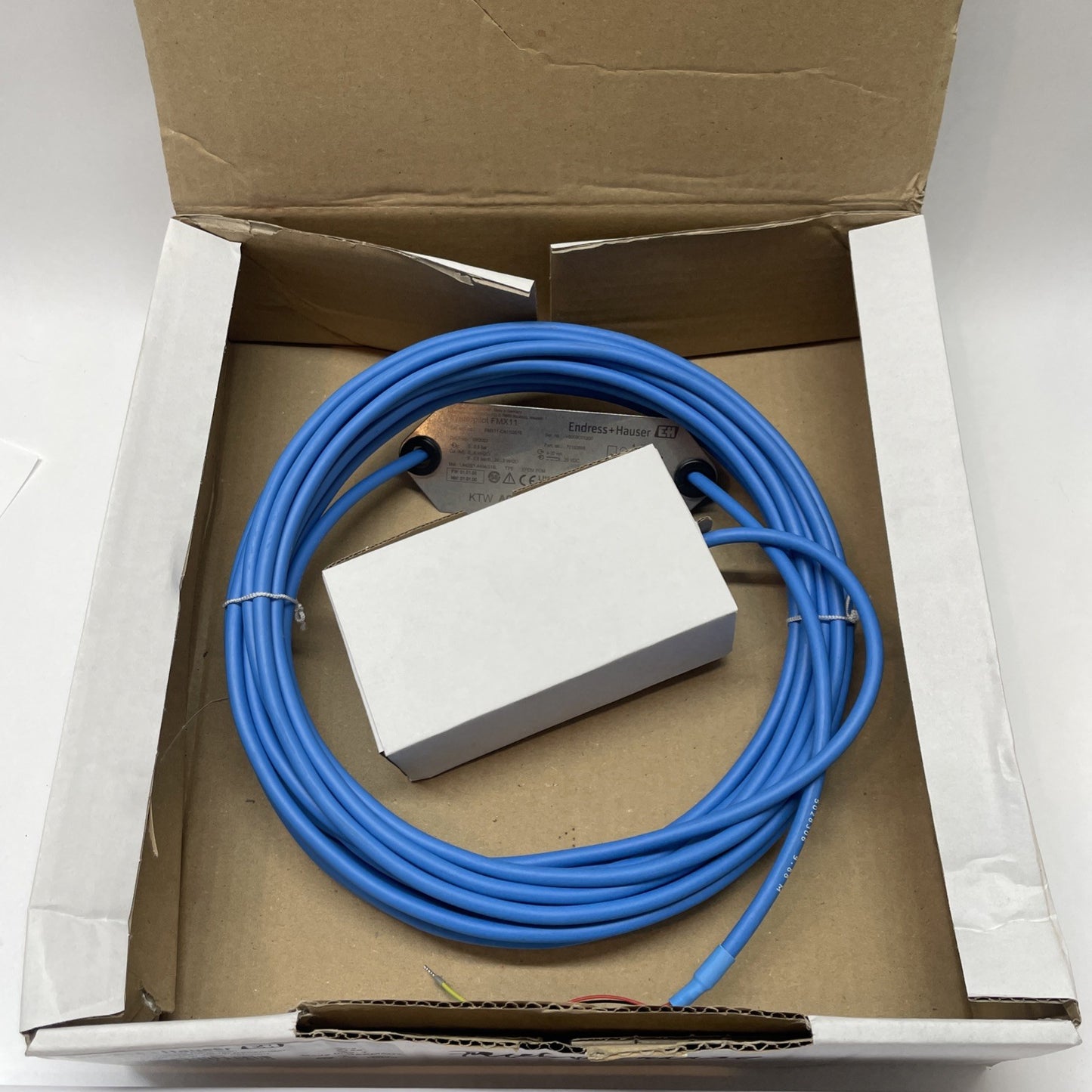 ENDRESS & HAUSER FMX11-CA11GS10 / FMX11CA11GS10 (NEW - OPEN BOX)