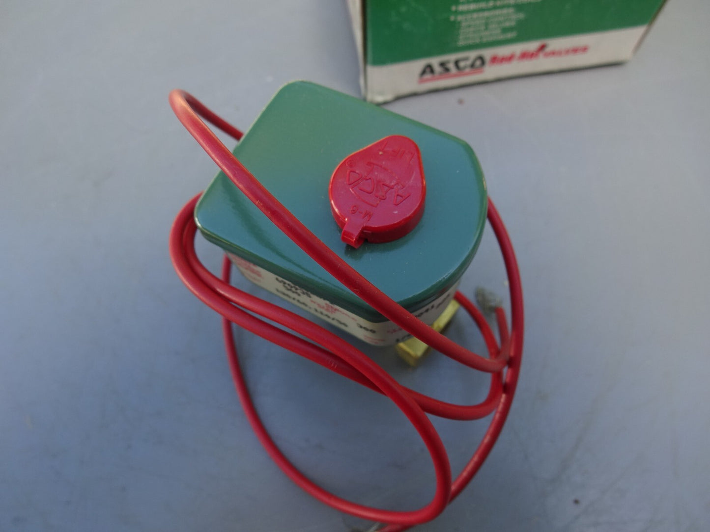 ASCO 8262091 / 110/50 120/60 VOLTS SOLENOID VALVE 1/8" / NEW WITH BOX