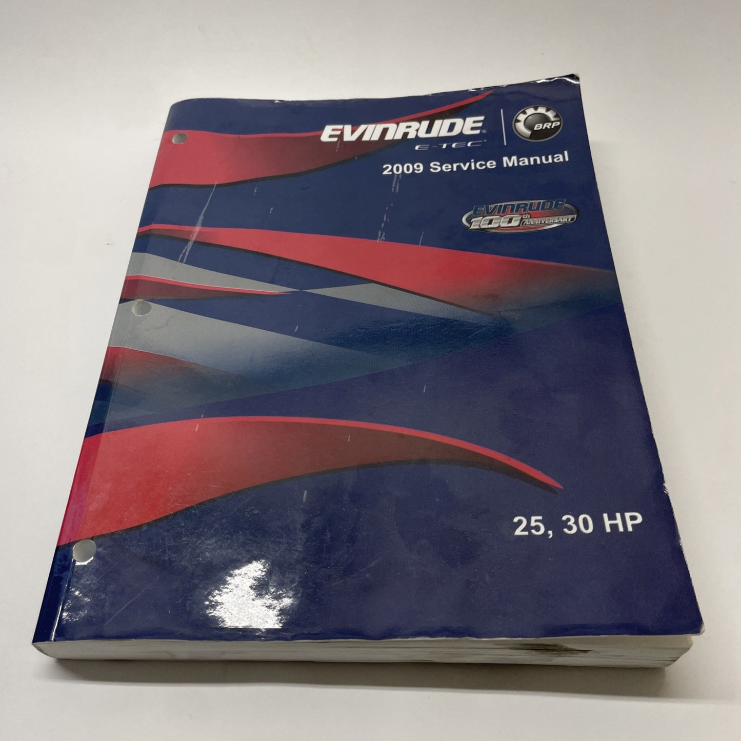 2009 Evinrude E-tec 25 30 HP Outboard Motor Service Manual - 5007802 (FAST SHIP)