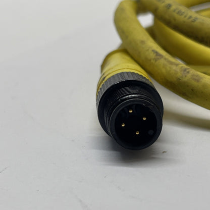 Brad Harrison 884031K03M020 4-Pole Double-Ended Cordset 18 AWG 2m TPE